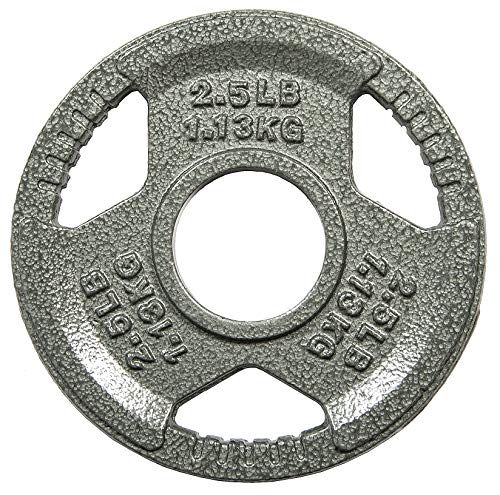 Sporzon! Cast Iron Olympic 2-Inch Grip Plate Weight Plate for Strength Training and Weightlifting, Single, Gray IP2.5