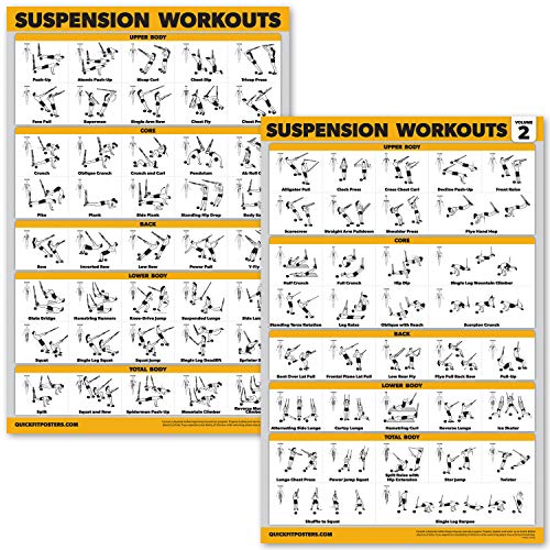 2 Pack Suspension Workout Posters – Volume 1 & 2 – LAMINATED Exercise Charts – 18″ x 24″ Vol. 1 & 2