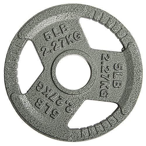 HulkFit 2-inch Iron Plate for Strength Training, Weightlifting, Single (5 Pounds), Silver