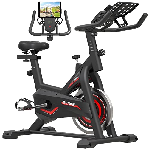 GOFLYSHINE Exercise Bikes Stationary,Exercise Bike for Home Indoor Cycling Bike for Home Cardio Gym,Workout Bike with 35 LBS Flywheel (Bike-290)