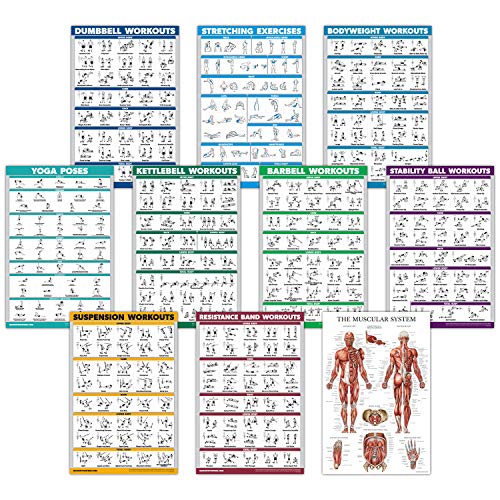 10 Pack – Exercise Workout Poster Set – Dumbbell, Suspension, Kettlebell, Resistance Bands, Stretching, Bodyweight, Barbell, Yoga Poses, Exercise Ball, Muscular System Chart (LAMINATED, 18″ x 27″)