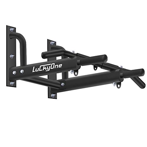 Wall Mounted Pull Up/Chin Up Bar with Bearing Frame Design for Indoor Workout/Home Gym, Maximum Weight 440 Lbs