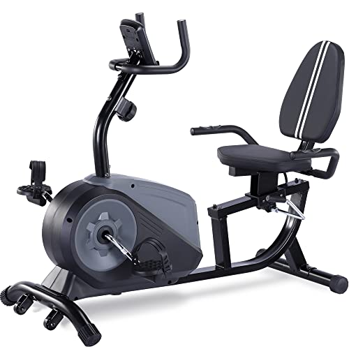 ECHANFIT Recumbent Exercise Bike with Bluetooth Connectivity and Free Fitness App, 16 Levels Magnetic Resistance, Stationary Bike for Home Seniors with Pulse Sensor 350 LB Weight Capacity
