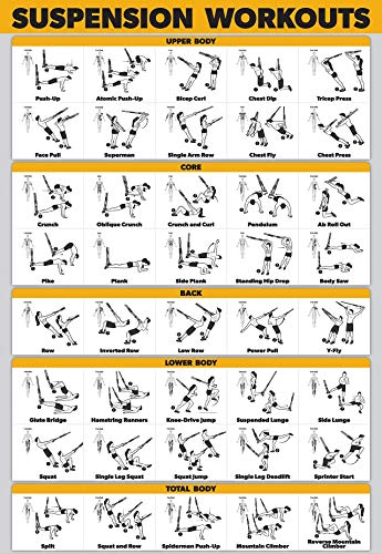 QuickFit Suspension Workout Exercise Poster – (Laminated, 18in x 24in), Hallway