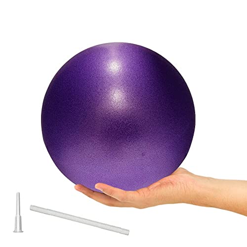 9 Inch Exercise Pilates Ball Mini Exercise Barre Ball for Yoga,Stability Exercise Training Gym Anti Burst and Slip Resistant Balls Physical Therapy Improves Balance, Core Strength, Back Pain Posture