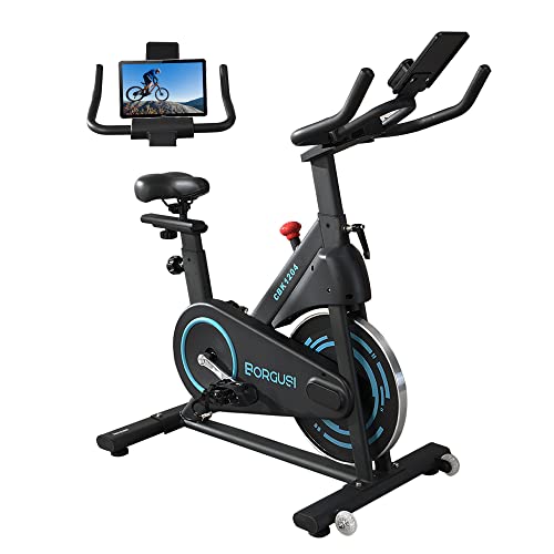 BORGUSI Exercise Bike Stationary Bike for Home, Indoor Spin Bike with 35lbs Flywheel, Spinning Cycling Bike with Tablet Holder & LCD Monitor, Adjustable Resistance & Comfortable Seat Cushion