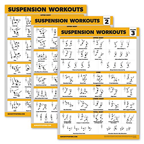 Palace Learning 3 Pack Suspension Workout Posters – Volume 1, 2 & 3 – Exercise Charts (LAMINATED, 18″ x 24″)
