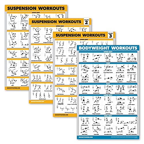 Palace Learning 4 Pack – Suspension Workout Posters Volume 1, 2 & 3 + Bodyweight Exercise Chart – Set of 4 Posters (LAMINATED, 18″ x 24″)