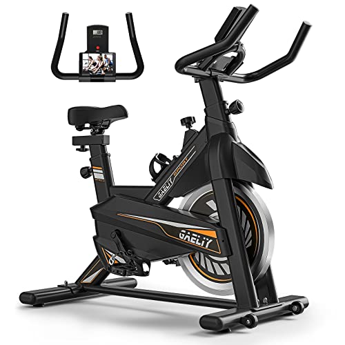 Exercise Bike-Stationary Bikes Indoor Cycling Bike, Spin Bike Belt Drive Indoor Exercise Bike with LCD Monitor and Comfortable Orange Seat Cushion