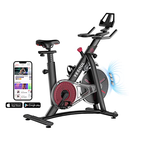 YESOUL S3 Exercise Bike Magnetic Resistance Stationary Bike – Magnetic Resistance Bluetooth exercise bikes for Home Indoor bike Workout(Black)