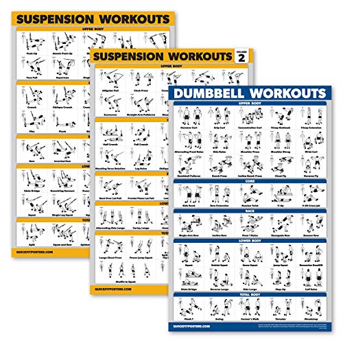 Palace Learning 3 Pack – Suspension Workout Posters – Volume 1 & 2 + Dumbbell Exercises Poster Set – Set of 3 Workout Charts (LAMINATED, 18″ x 24″)