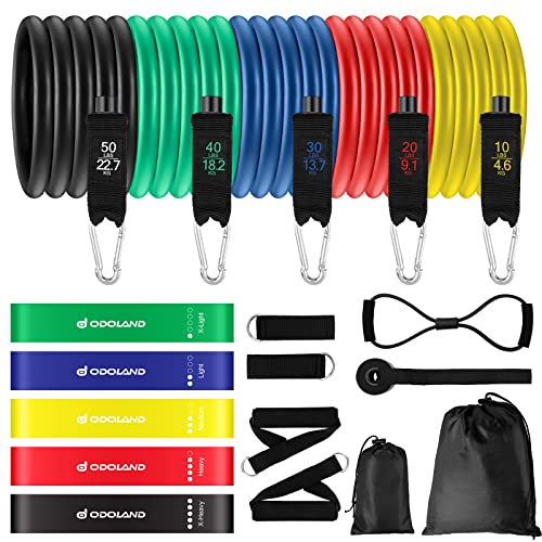 Odoland 16pcs Resistance Bands Set, Exercise Workout Bands with Handles, Resistance Loop Bands, Core Sliders, Ankle Straps, Door Anchor for Home Gym Training, Physical Therapy, Fitness